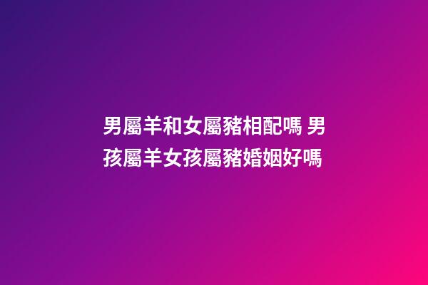 男屬羊和女屬豬相配嗎 男孩屬羊女孩屬豬婚姻好嗎-第1張-觀點-玄機派